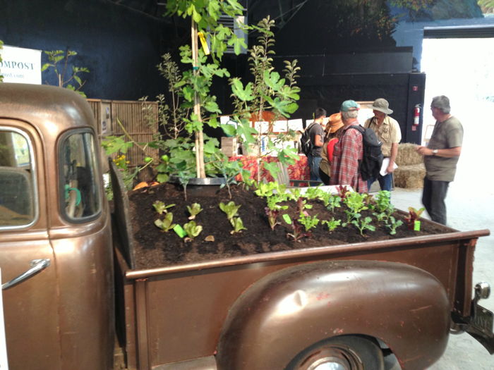 Hydroponic Gardening As an Exciting Hobby